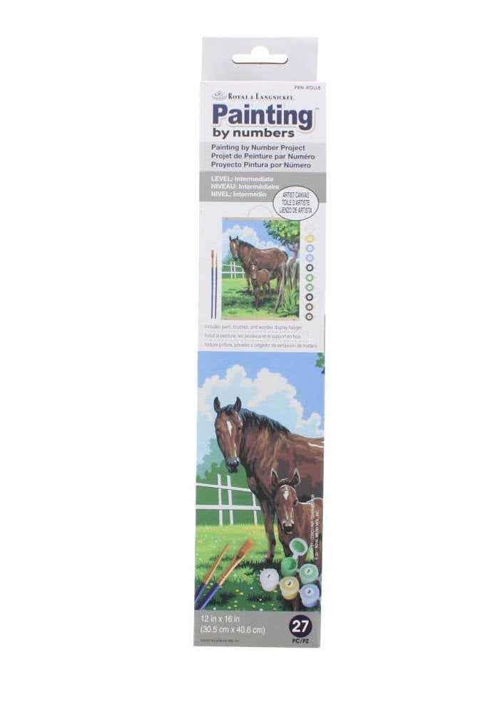 Painting By Number Mare & Foal Canvas 27pcs