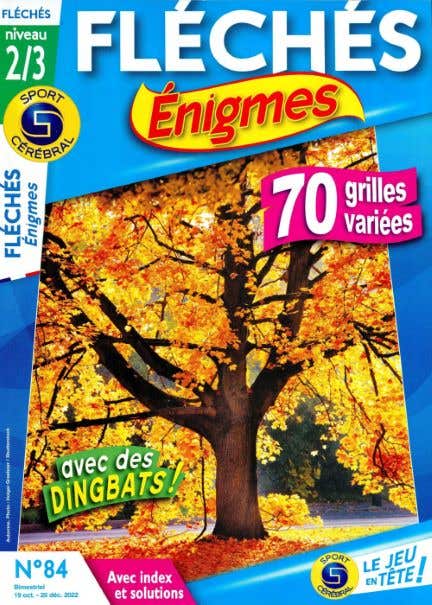 Sc Fleches Enigmes Niveau 2/3 N84
