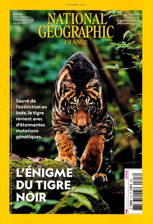 National Geographic N313- Octobre 2025 - L'enigme DU Tigre Noir