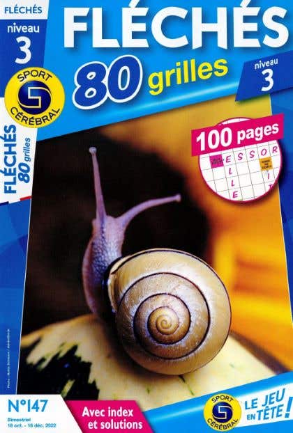 Sc Fleches 80 Grilles Niveau 3 N147
