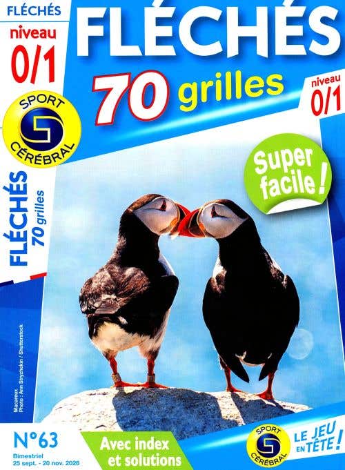 Sc Fleches 70 Grilles Niveau 0/1 Avec Index ET Solutions N63
