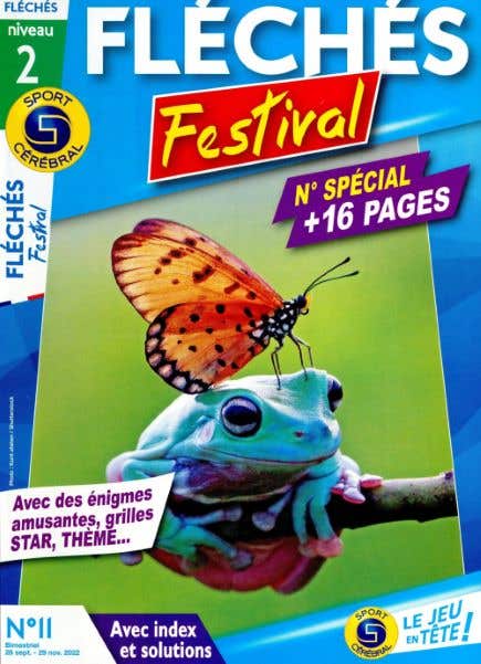 Sc Fleches Festival N11