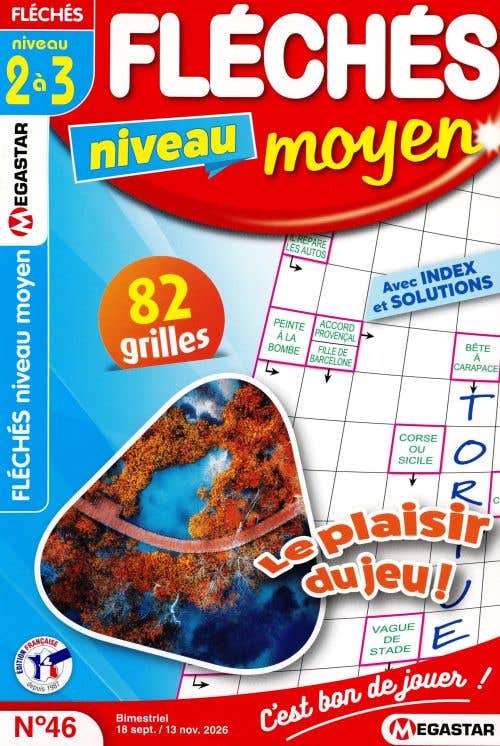 Mg Fleches Niveau Moyen 2/3 Avec Index ET Solutions N46