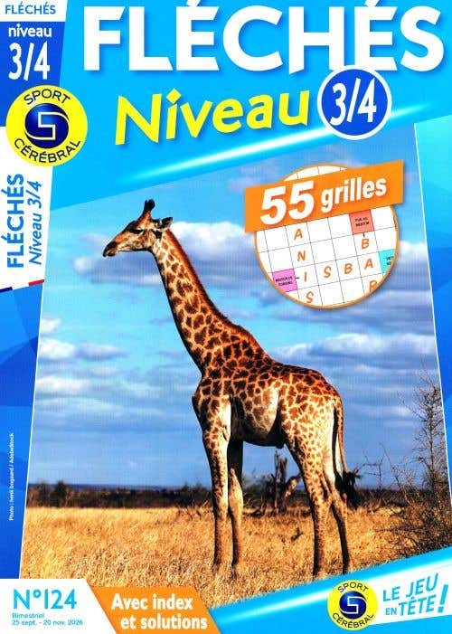 Sc Fleches Niveau 3/4 Avec Index ET Solutions N124