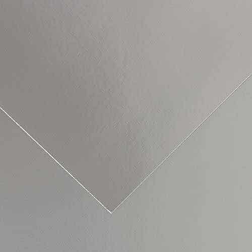 Canson Cardboard Vivaldi 280g 50x65 N.40 Silver