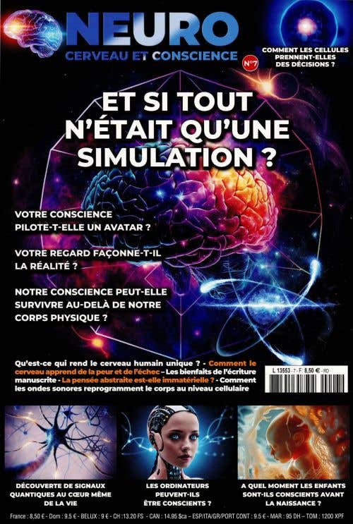 Neuro N7 - ET Si Tout N'etait Qu'une Simulation?