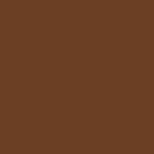 Fabriano Cardboard 220g N.106 Marrone(brown)