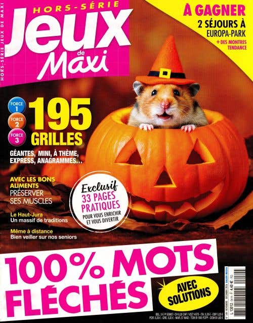 LES Jeux DE Maxi Hs 100% Mots Fleches Niveau 1-2-3 N53
