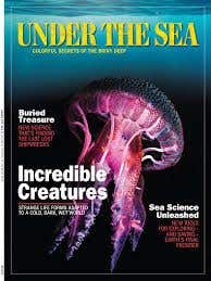 A360 Media Sp/ Under The Sea - Incredible Creatures