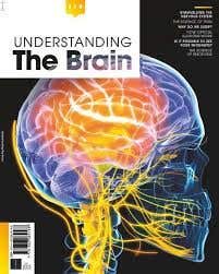 Bz Understanding The Brain