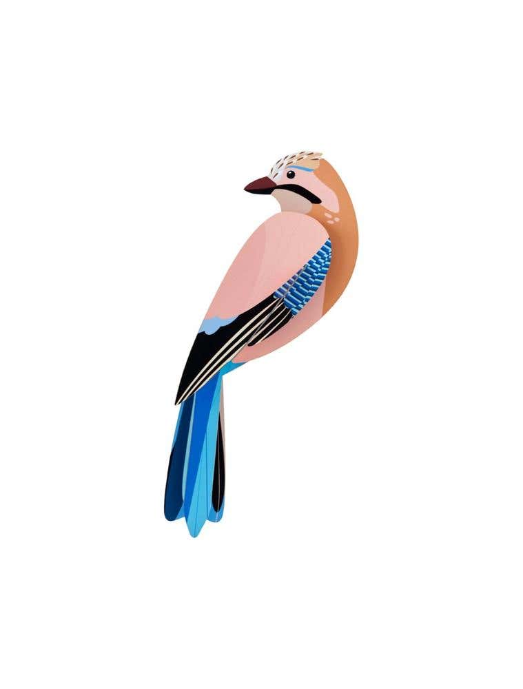 Garden Bird - Jay