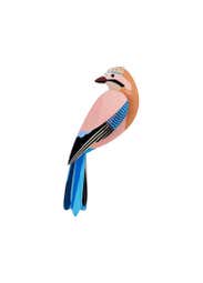 Garden Bird - Jay