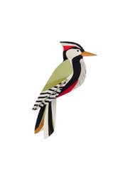 Garden Bird - Woodpecker