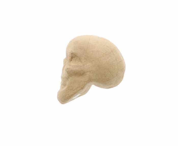 Cardboard Skull 15,5x10,5x12 Cm