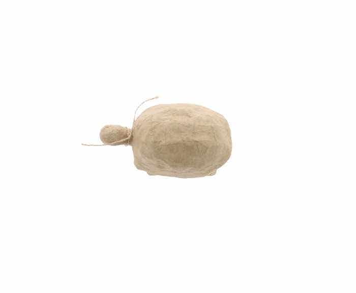 Cardboard Turtle 24x13,5x9 Cm