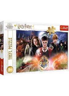 Harry Potter The Secret Puzzles 300 Pieces