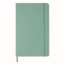 Notebook Lg Ruled Hard Sage Green+text