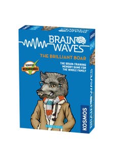 Brain Waves Boar