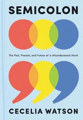 Semicolon (the Past, Present, And Future Of A Misunderstood Mark)