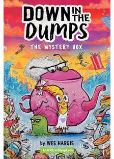 Down In The Dumps #1: The Mystery Box