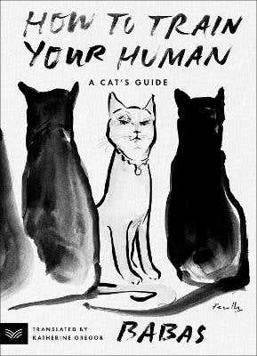 How To Train Your Human (a Cat's Guide)