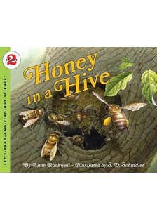 Honey In A Hive