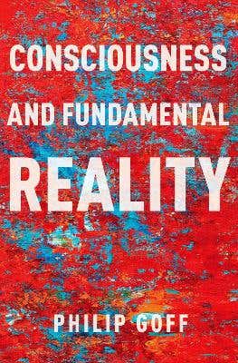 Consciousness And Fundamental Reality