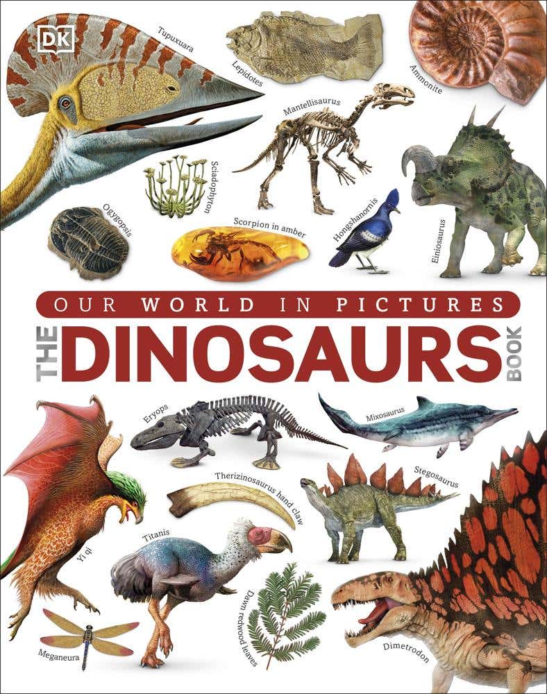 Our World In Pictures The Dinosaurs Book