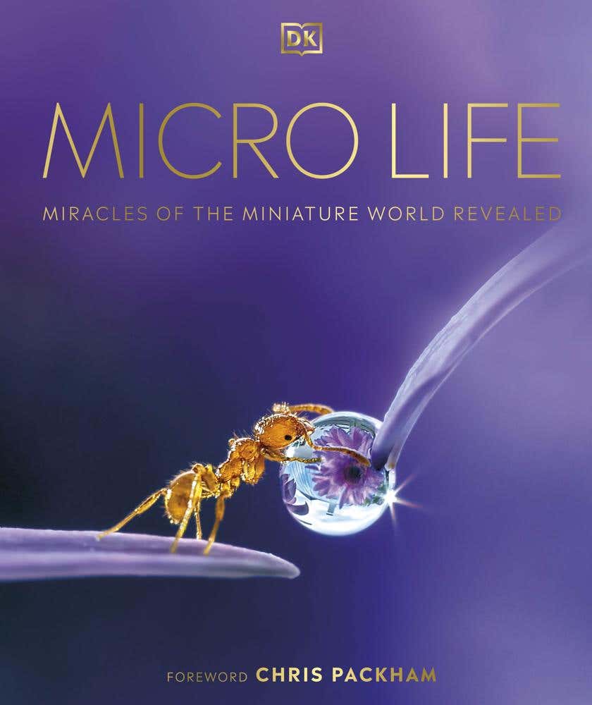 Micro Life (miracles Of The Miniature World Revealed)