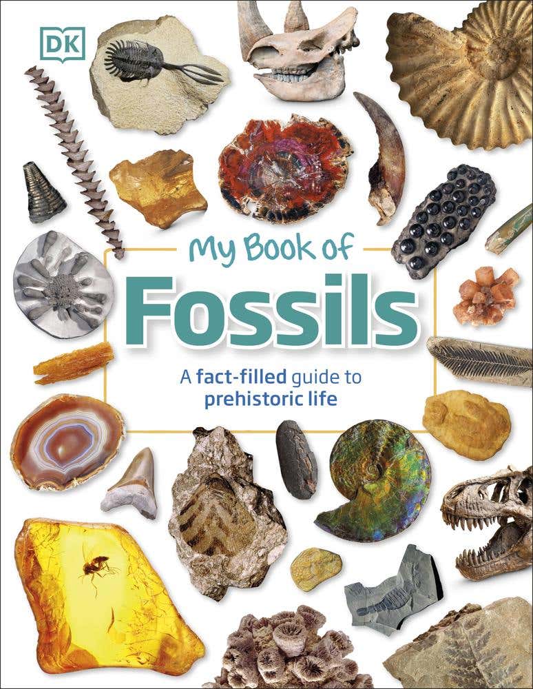 My Book Of Fossils (a Fact-filled Guide To Prehistoric Life)
