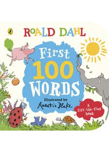 Roald Dahl: First 100 Words (a Lift The Flap Story)