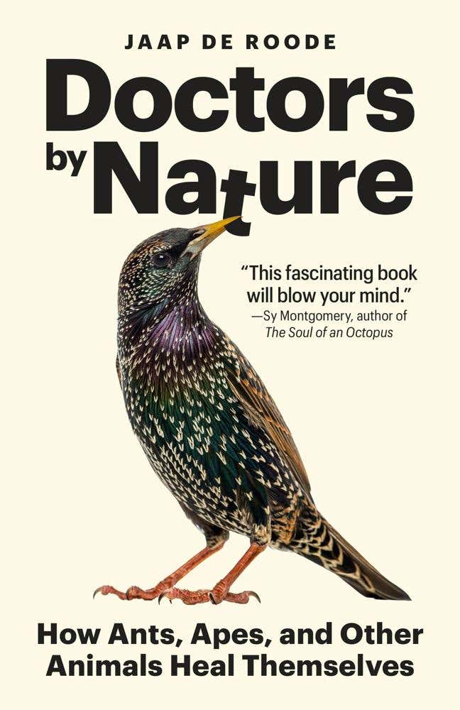 Doctors By Nature (how Ants, Apes, And Other Animals Heal Themselves)