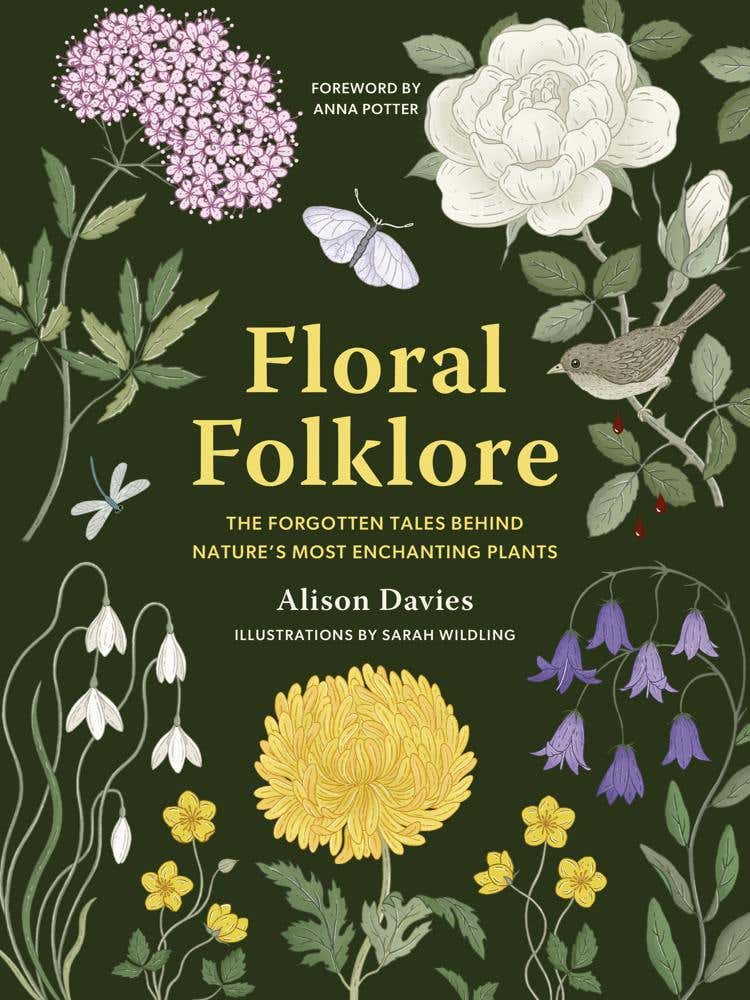Floral Folklore (the Forgotten Tales Behind Nature’s Most Enchanting Plants)