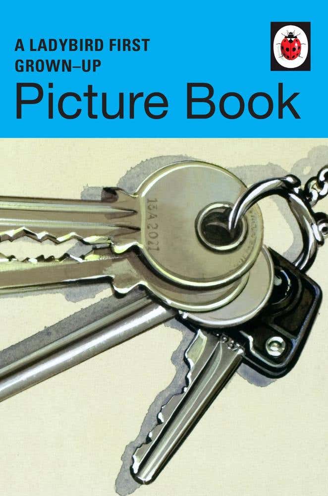A Ladybird First Grown-up Picture Book