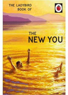The Ladybird Book Of The New You