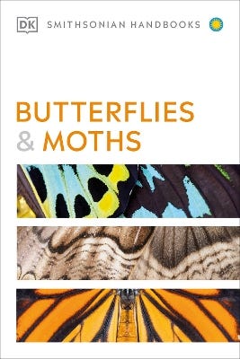Butterflies And Moths