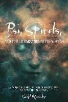 Psi, Spirits, And Other Paranormal Phenomena (an Academic Exploration Of Paranormal And Psychic Accounts)