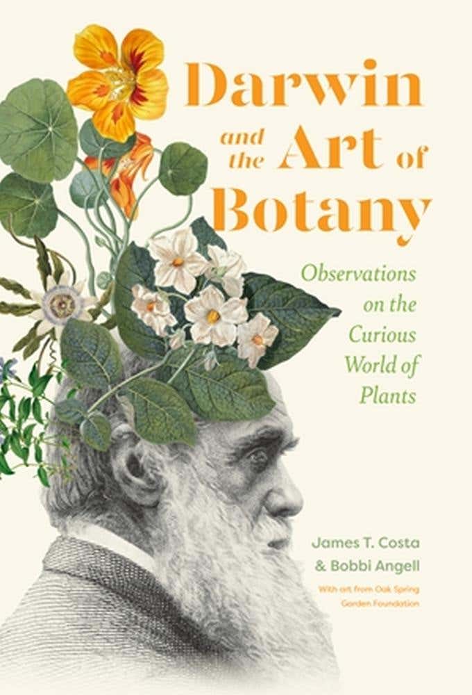 Darwin And The Art Of Botany (observations On The Curious World Of Plants)