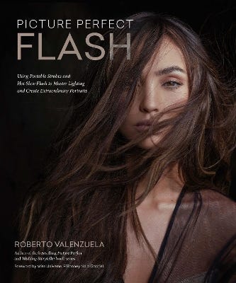 Picture Perfect Flash (using Portable Strobes And Hot Shoe Flash To Master Lighting And Create Extraordinary Portraits )