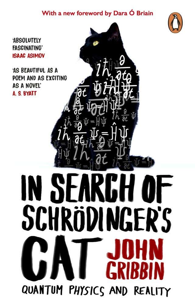 In Search Of Schrodinger's Cat (updated Edition)