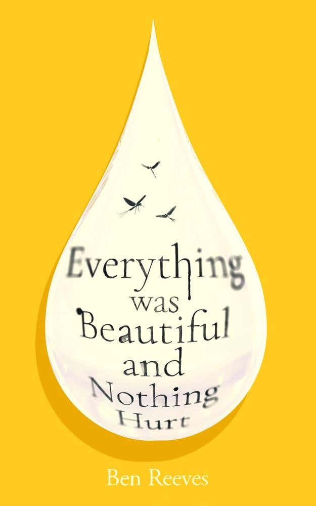 Everything Was Beautiful And Nothing Hurt