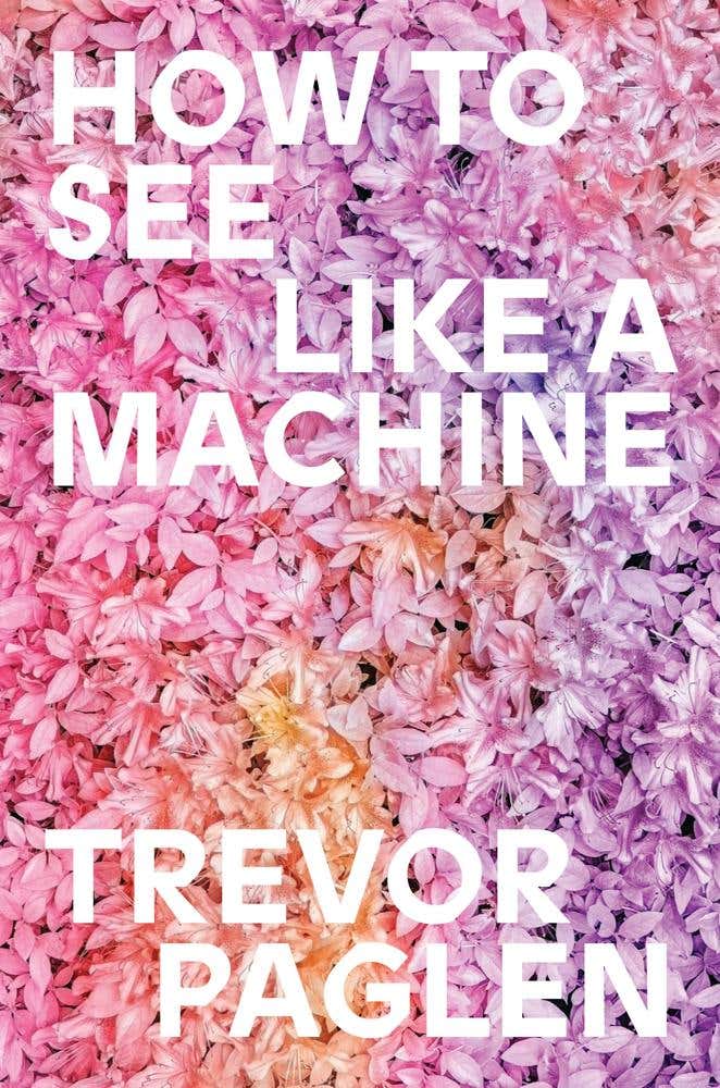 How To See Like A Machine (images After Ai)
