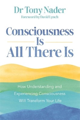 Consciousness Is All There Is (how Understanding And Experiencing Consciousness Will Transform Your Life)