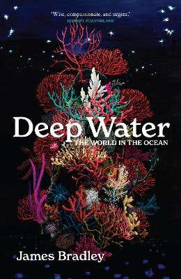 Deep Water (the World In The Ocean)