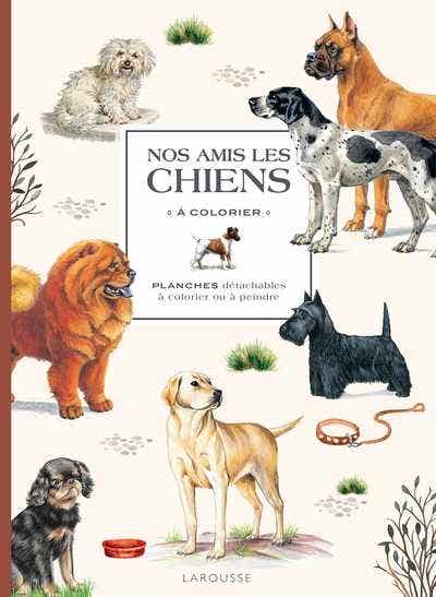 Nos Amis les Chiens À Colorier