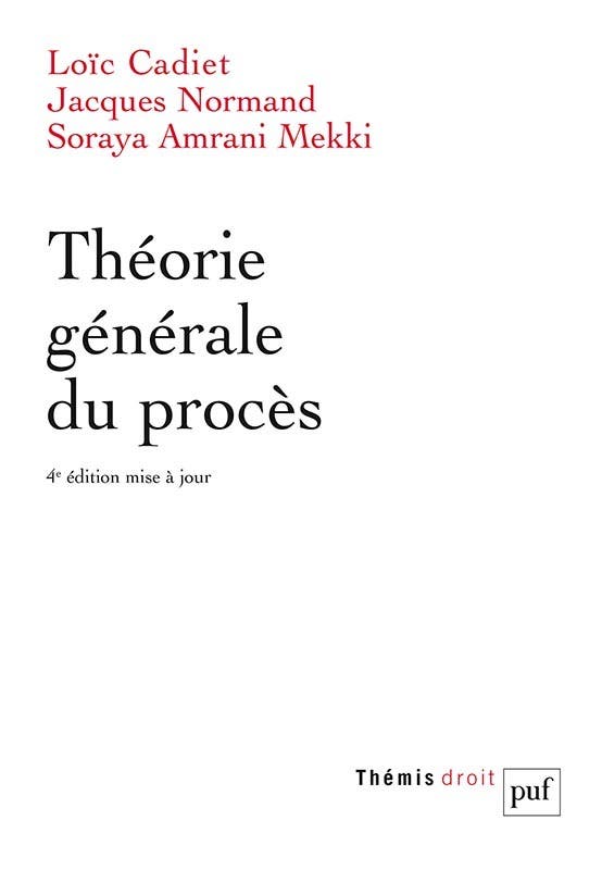 Théorie Générale du Procès