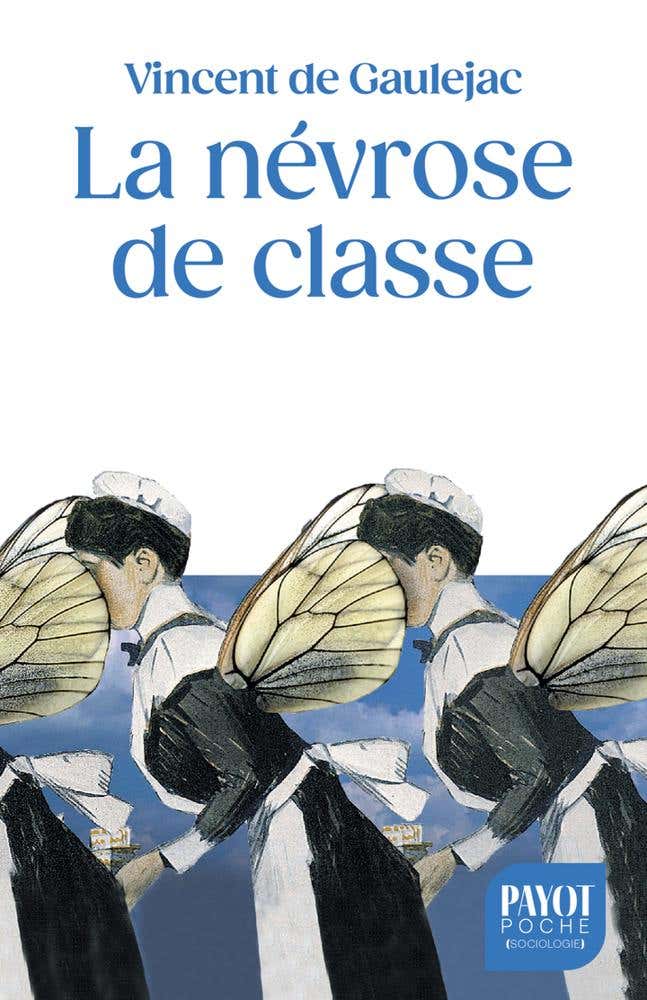 La Névrose de Classe (trajectoire Sociale et Conflits D'identité)