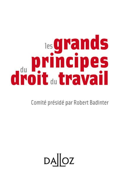 Les Grands Principes du Droit du Travail