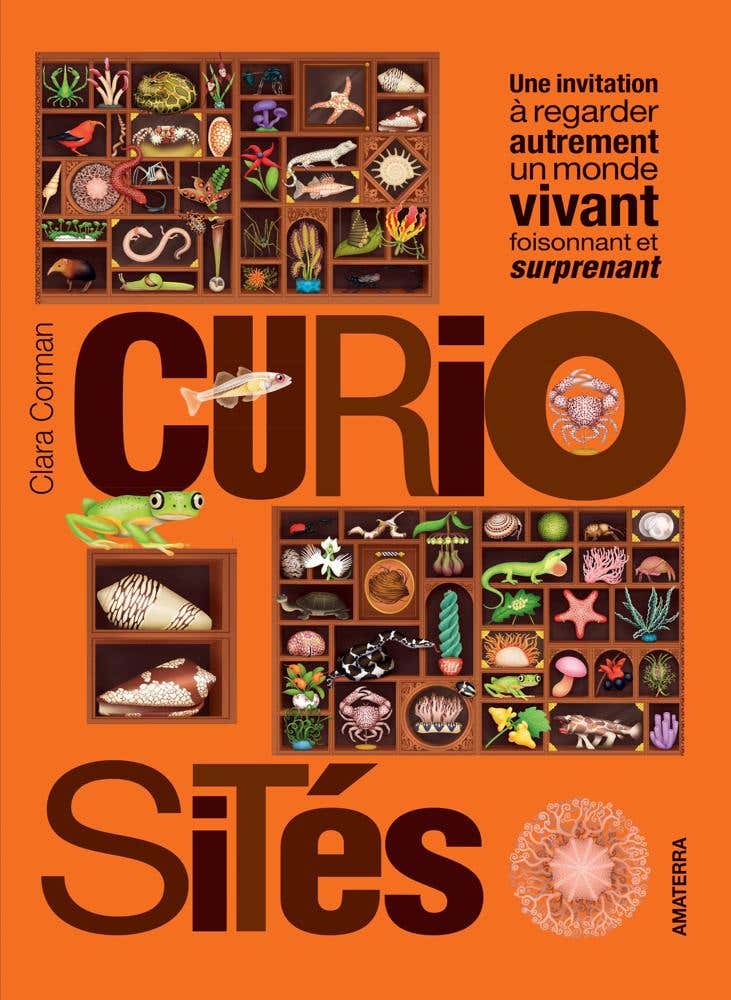 Curiosités