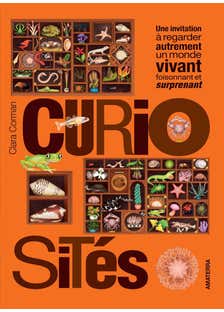Curiosités